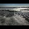 vitaminsea123